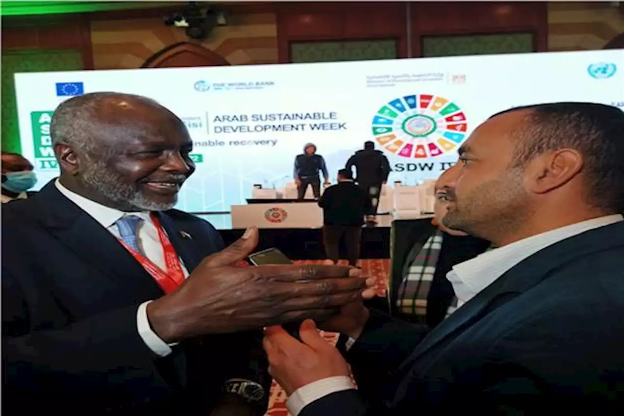 وزير المالية السوداني: مصر تشهد طفرة بشتى المجالات تحت قيادة السيسي