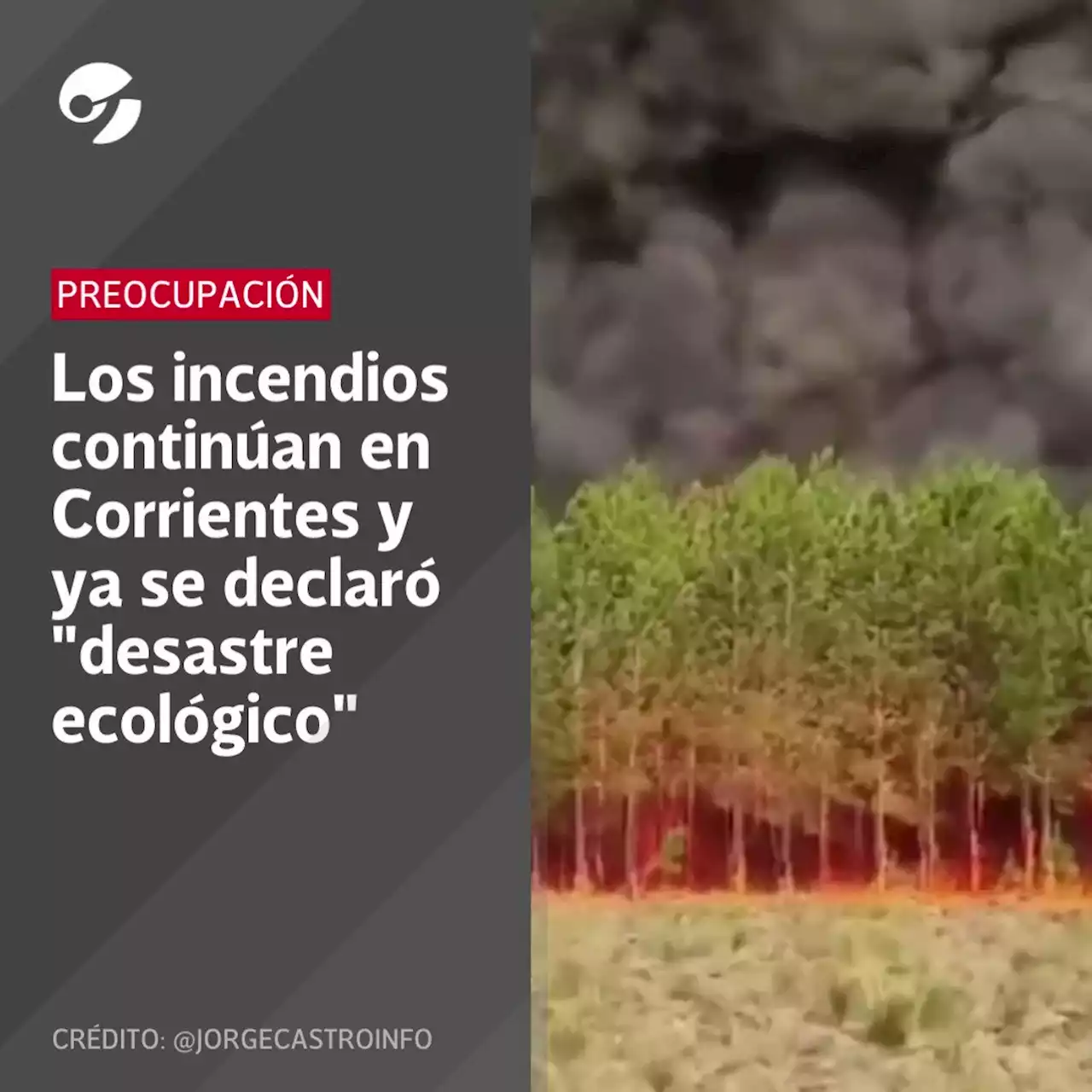 Horas cruciales en los incendios en Corrientes: llega la ayuda y siguen los cruces políticos