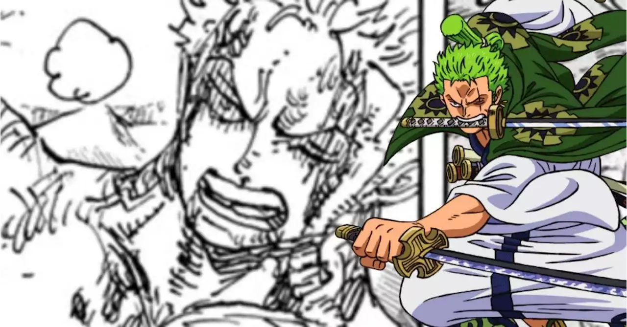 One Piece Worries Zoro Fans Over Newest Status Update