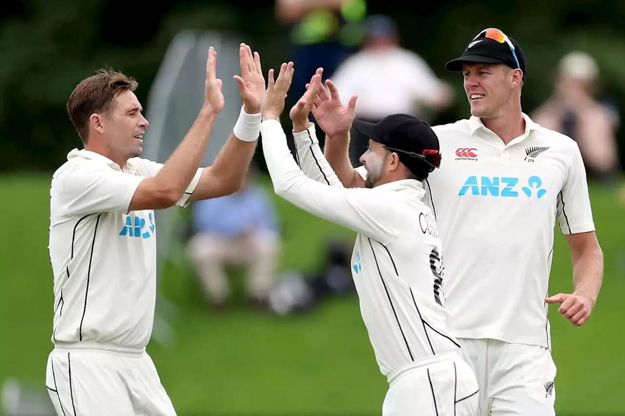 NZ snap 18-year drought in absolute demolition job over South Africa