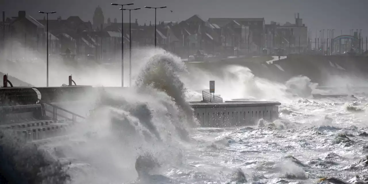 I danni della tempesta Eunice in Nord Europa - Il Post