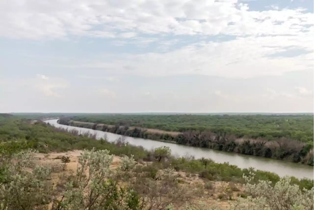 Feds seek to protect rare Texas plant in the path of border wall construction