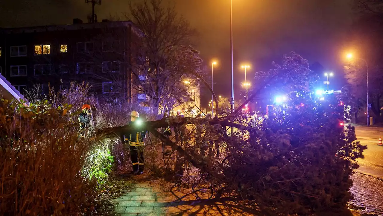 Mindestens neun Tote durch Orkantief 'Zeynep'