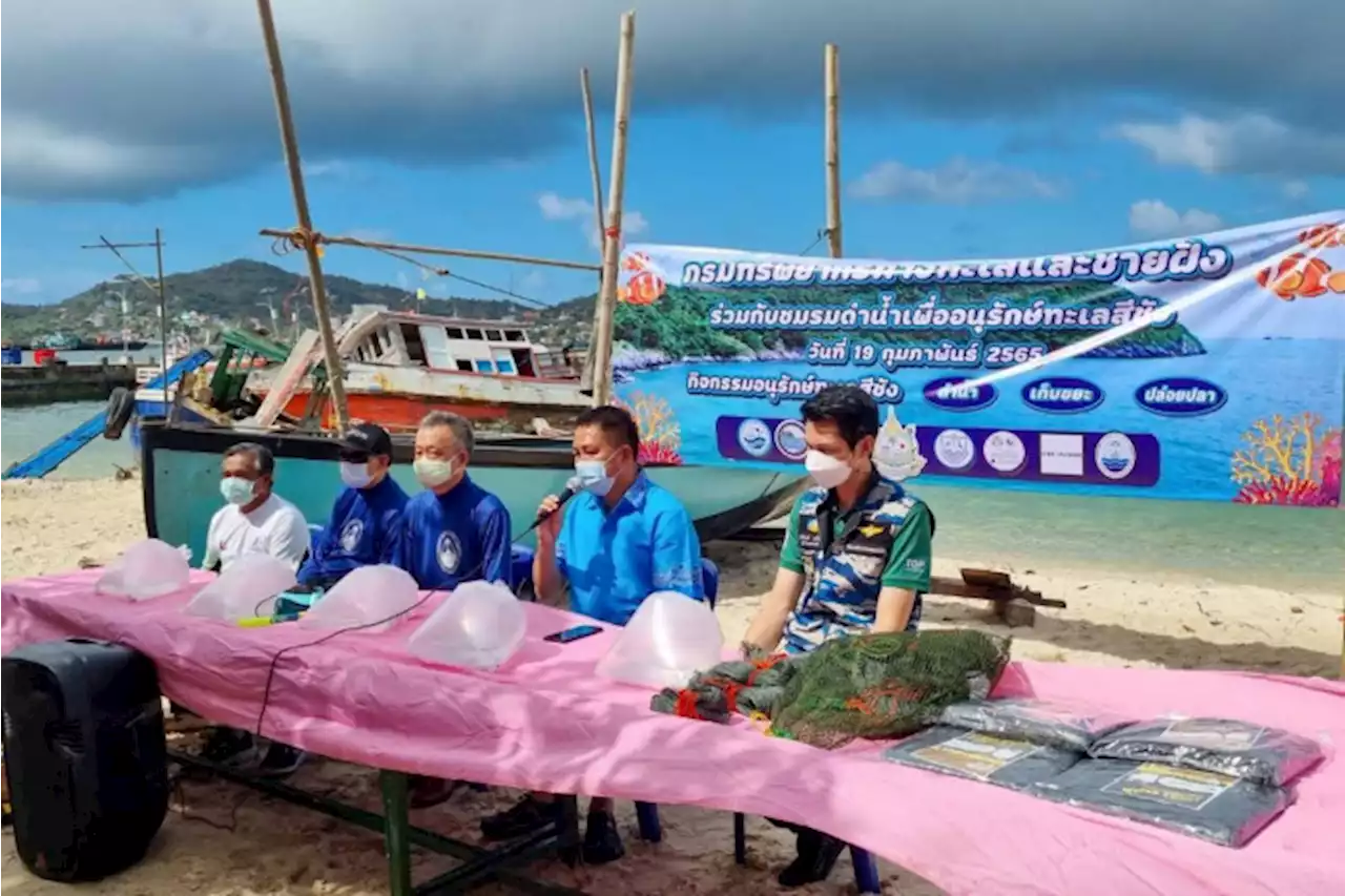 มหาดไทยร่วมฟื้นระบบนิเวศชายฝั่งหนุนท่องเที่ยวเชิงอนุรักษ์