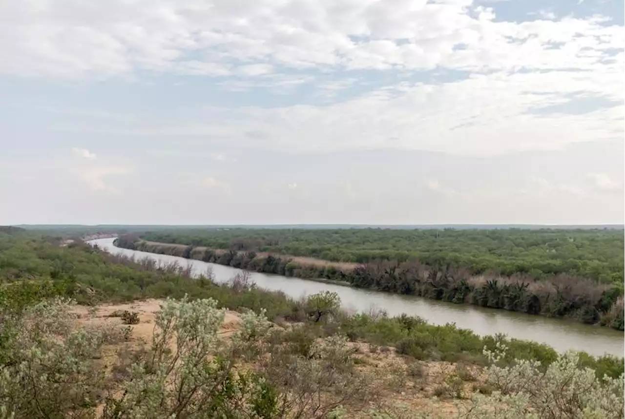 Feds seek to protect rare Texas plant in the path of border wall construction