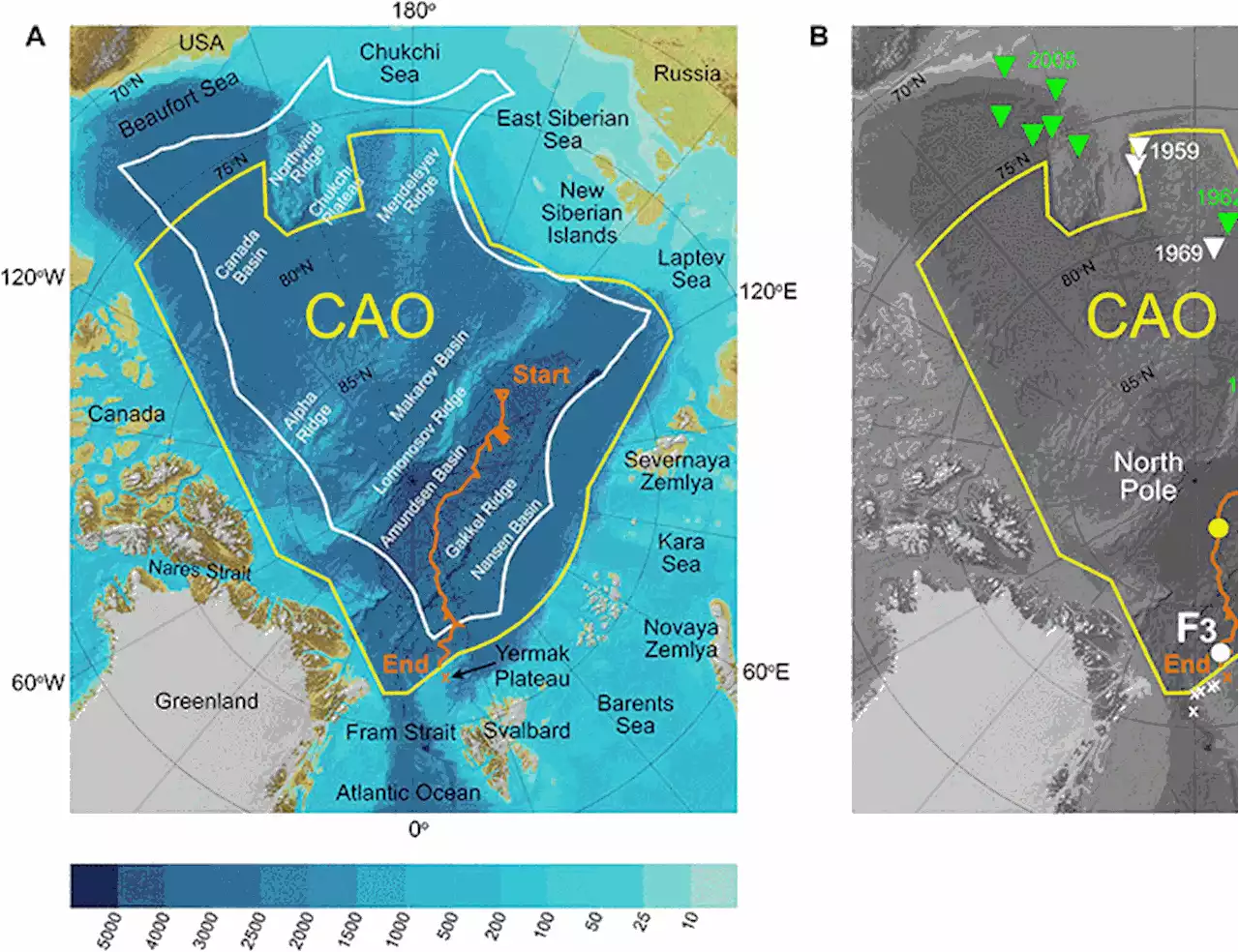 Unexpected fish and squid in the central Arctic deep scattering layer