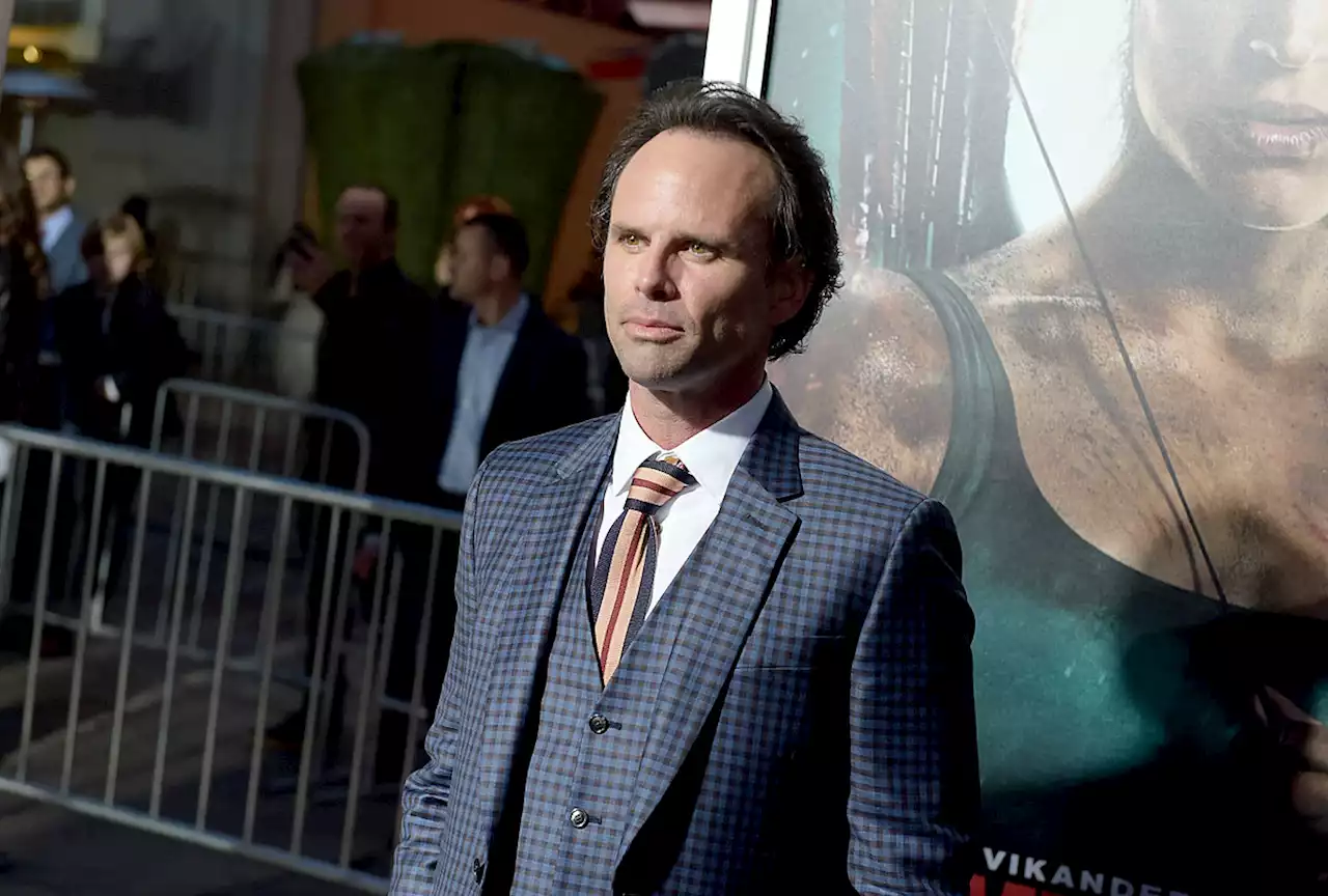 ‘Fallout’ Show Adds Walton Goggins to Cast