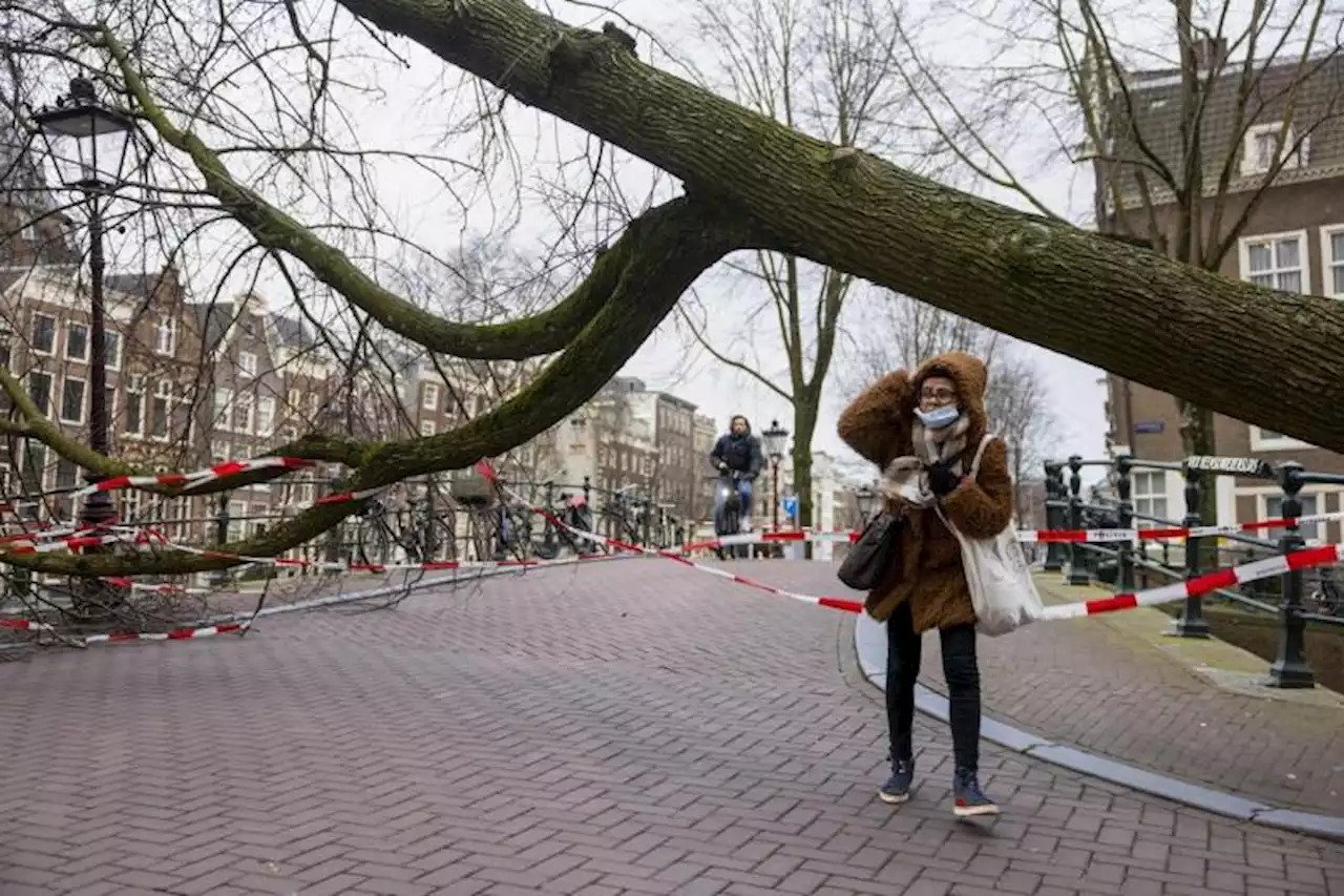 Storm damage forces Belgium-Netherlands rail cancellations