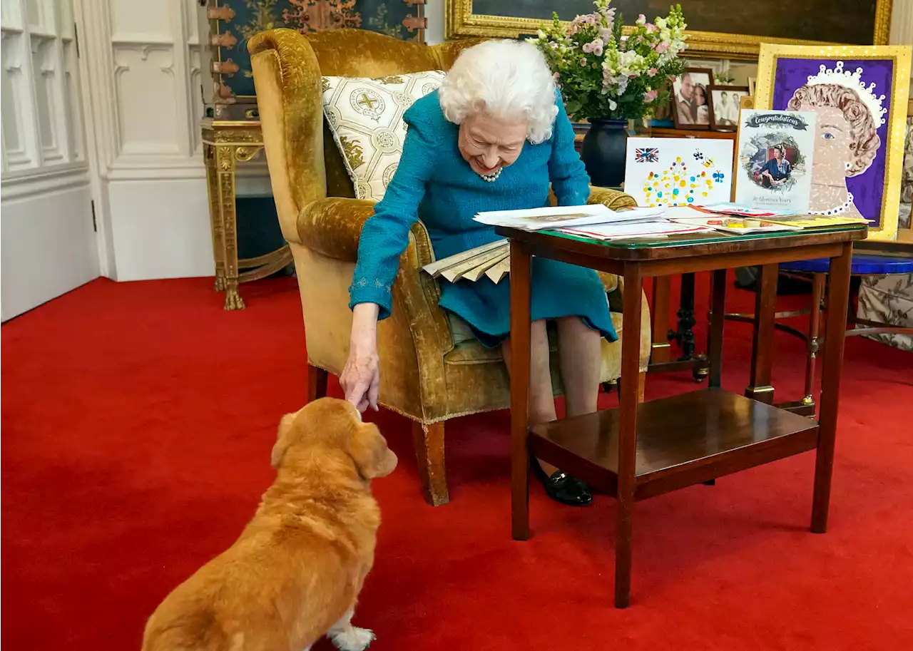 Queen Elizabeth II. launcht Hundeparfüm