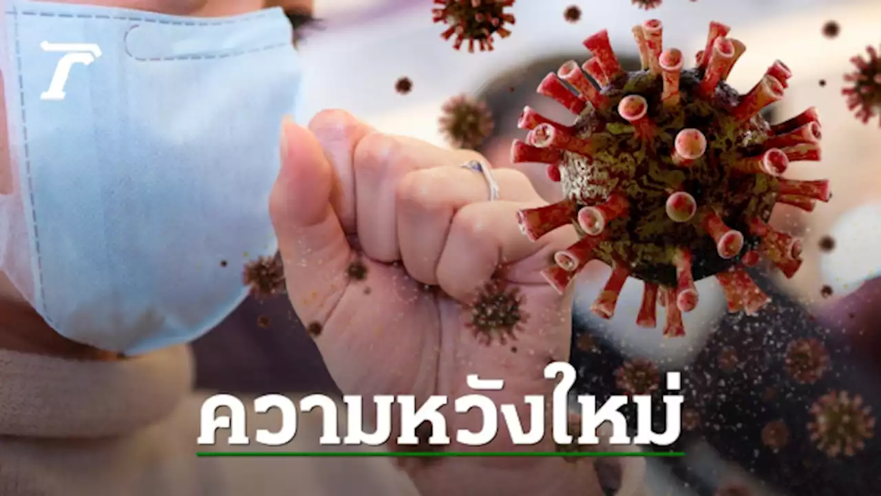 ความหวังใหม่ งานวิจัยพบ 'แอนติบอดี 87G7' ยับยั้งโควิดได้ทุกสายพันธุ์