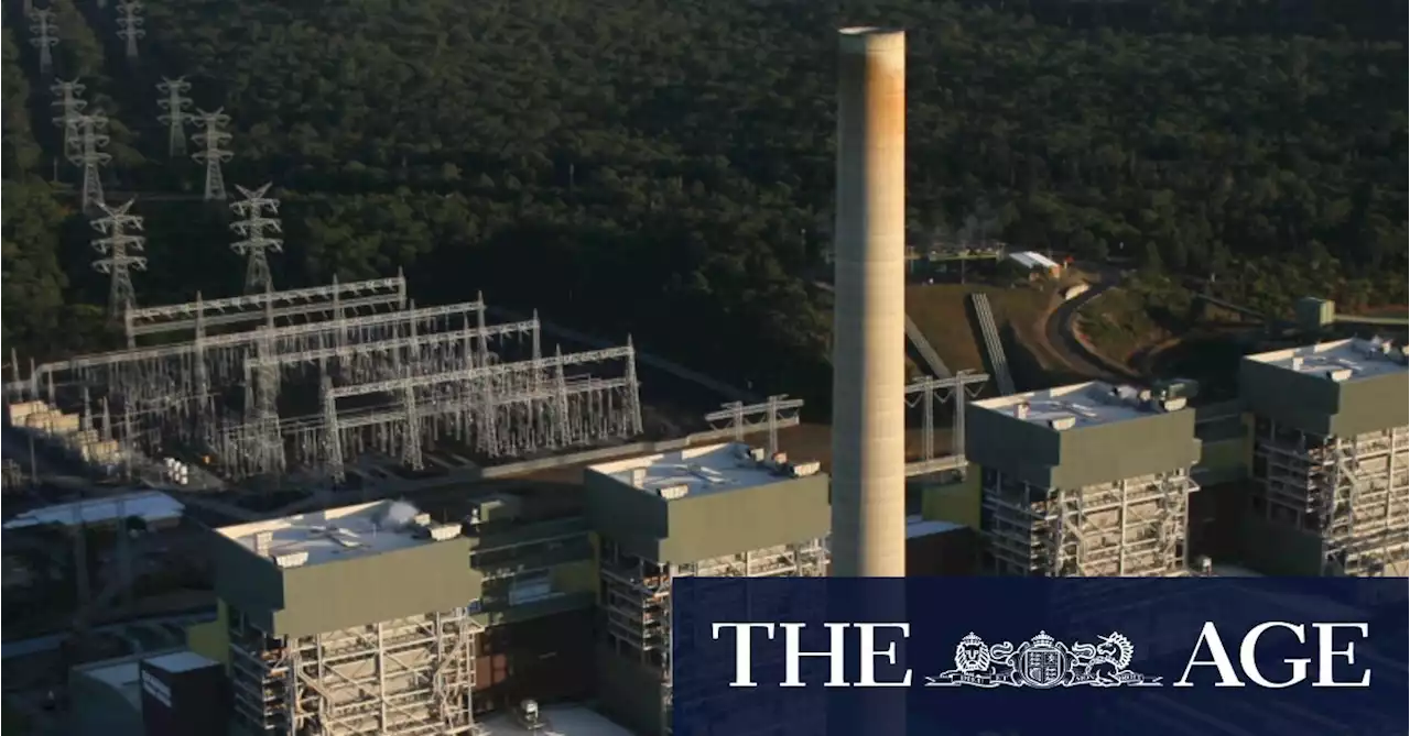 Energy Minister tells Origin to ‘keep to its word’ on 2025 coal exit review