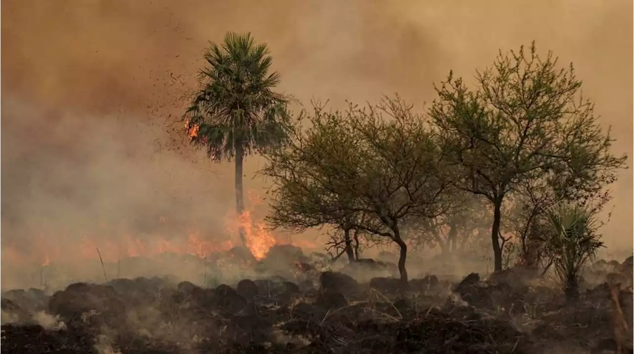 Gustavo Valdés declaró la zona de catástrofe en el Iberá: “Solo la naturaleza podrá apagar el fuego”