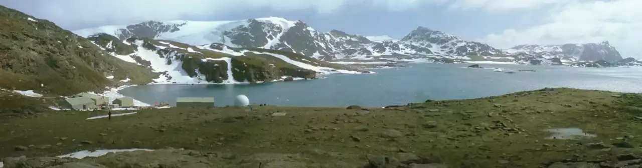 As Temperatures Rise, Antarctica is Turning Green - Universe Today