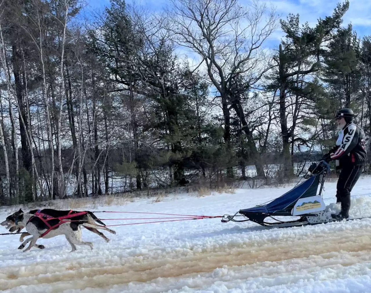 With warming winters, mushers and sled dogs face changes to a sport they love