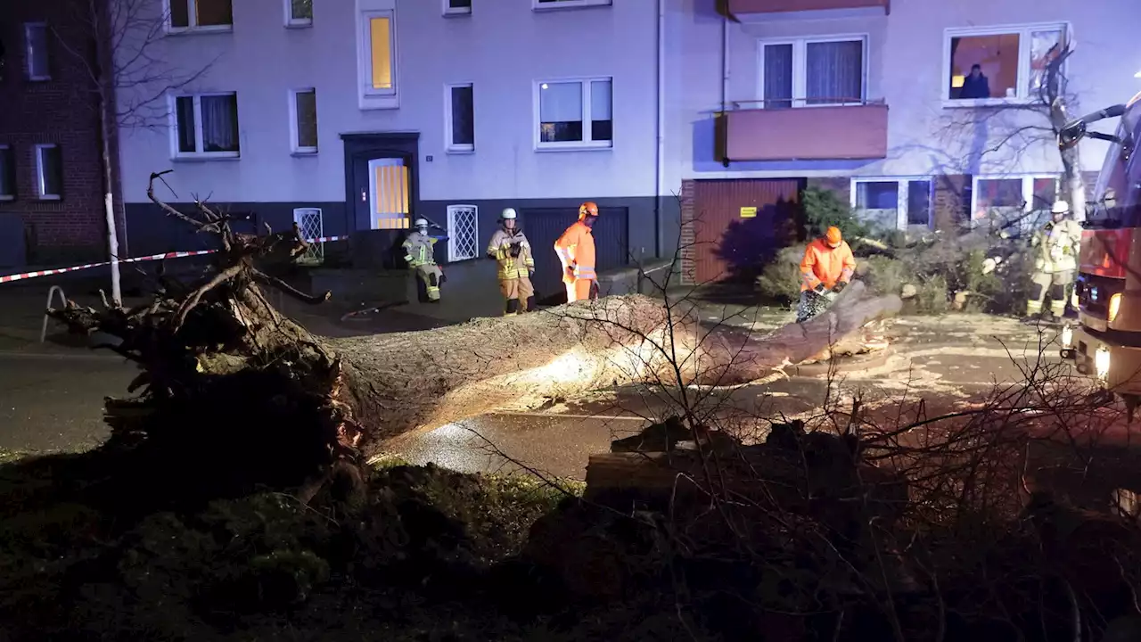 Live: Sturm in NRW - Reporter berichten aus dem Land