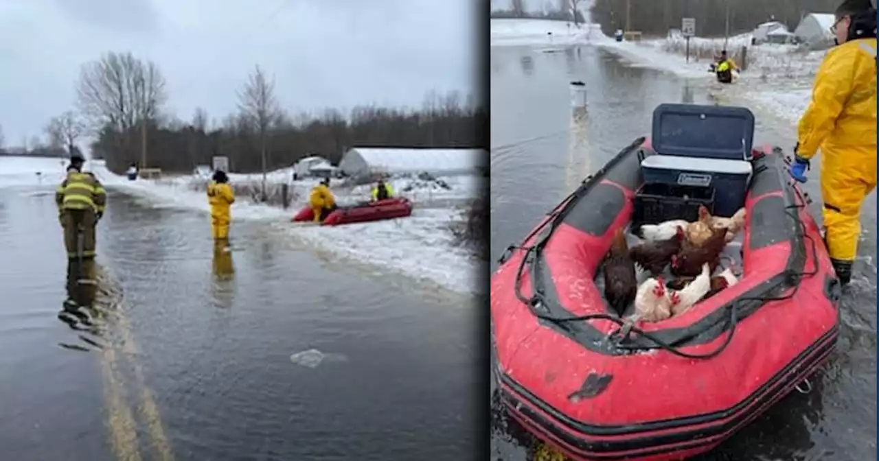 Portage County Water Rescue Team saves dozens of animals from flooding farm