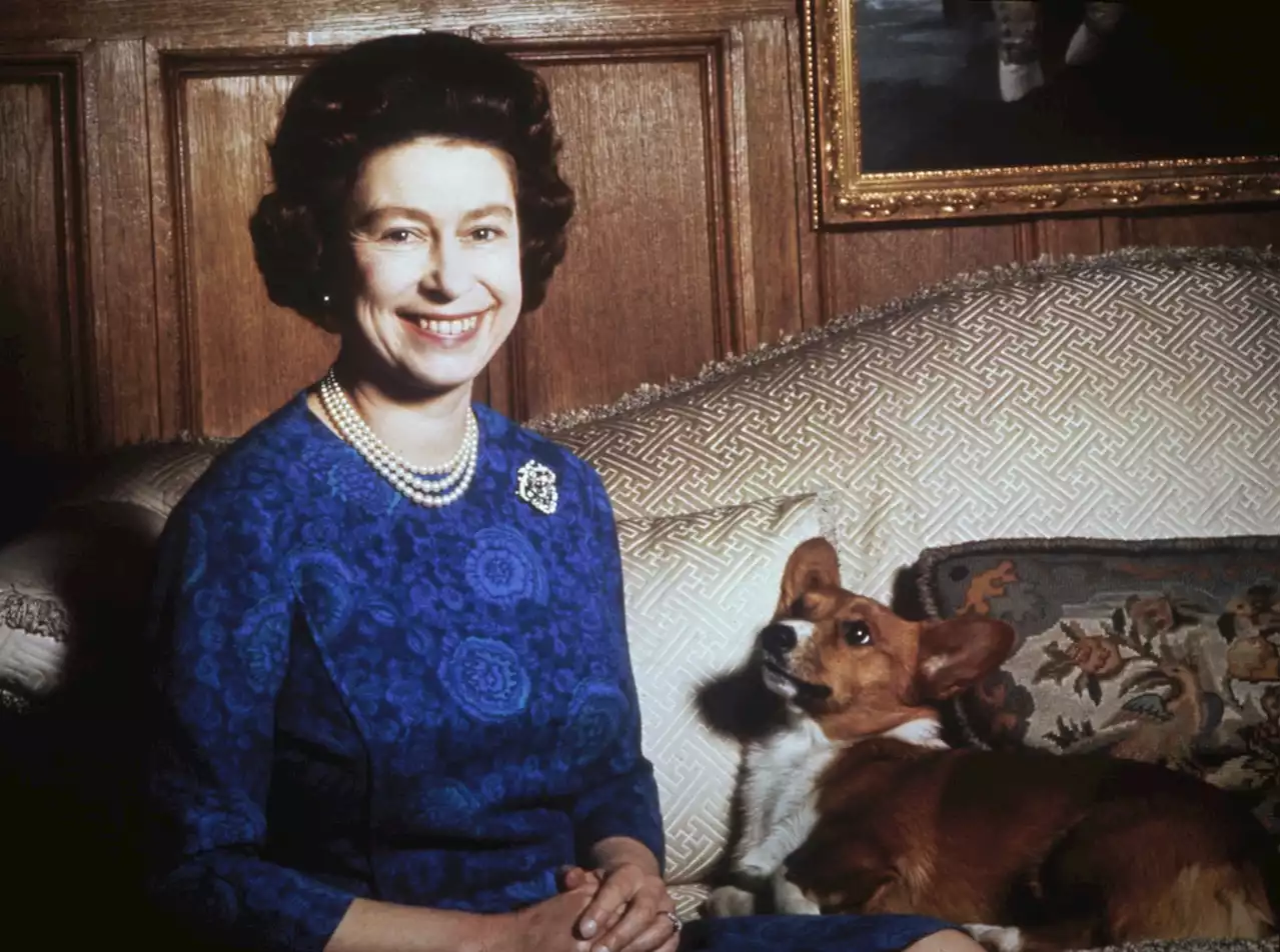 Queen Elizabeth II Is Reportedly Launching a Luxury Dog Cologne