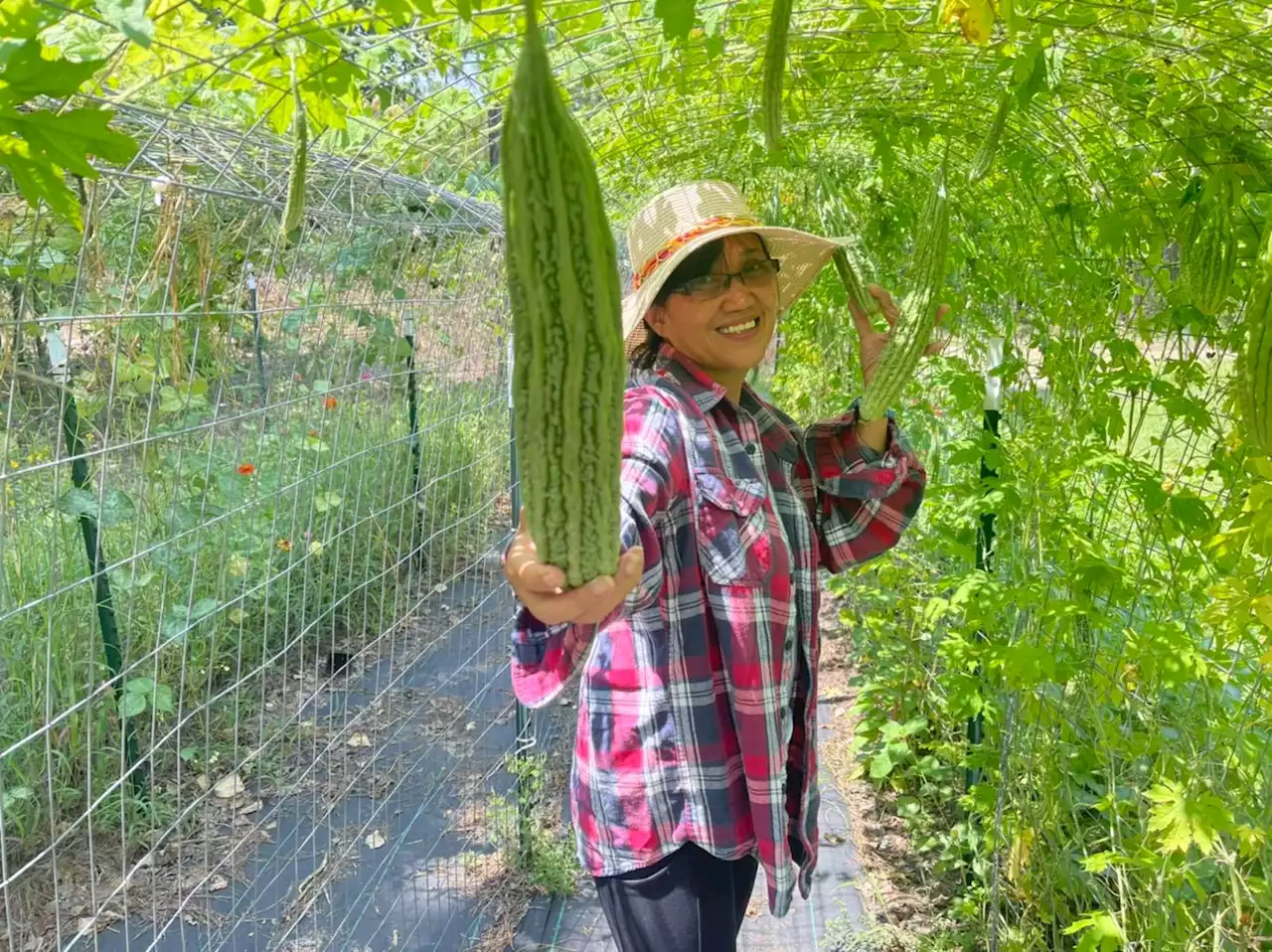 US-based Filipina grows and sells heirloom seeds and produce