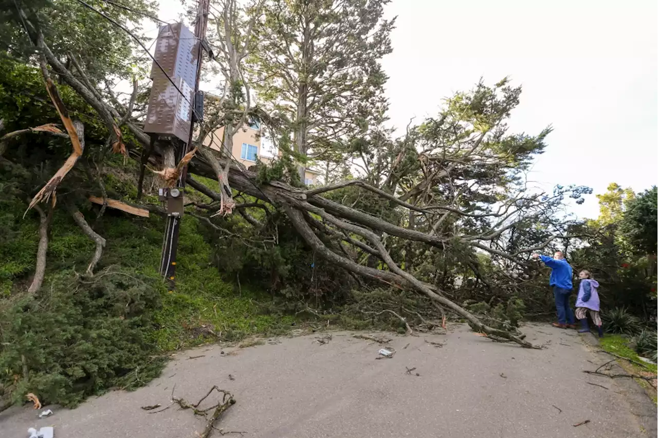 Gusty Bay Area winds won’t die down significantly until early Thursday