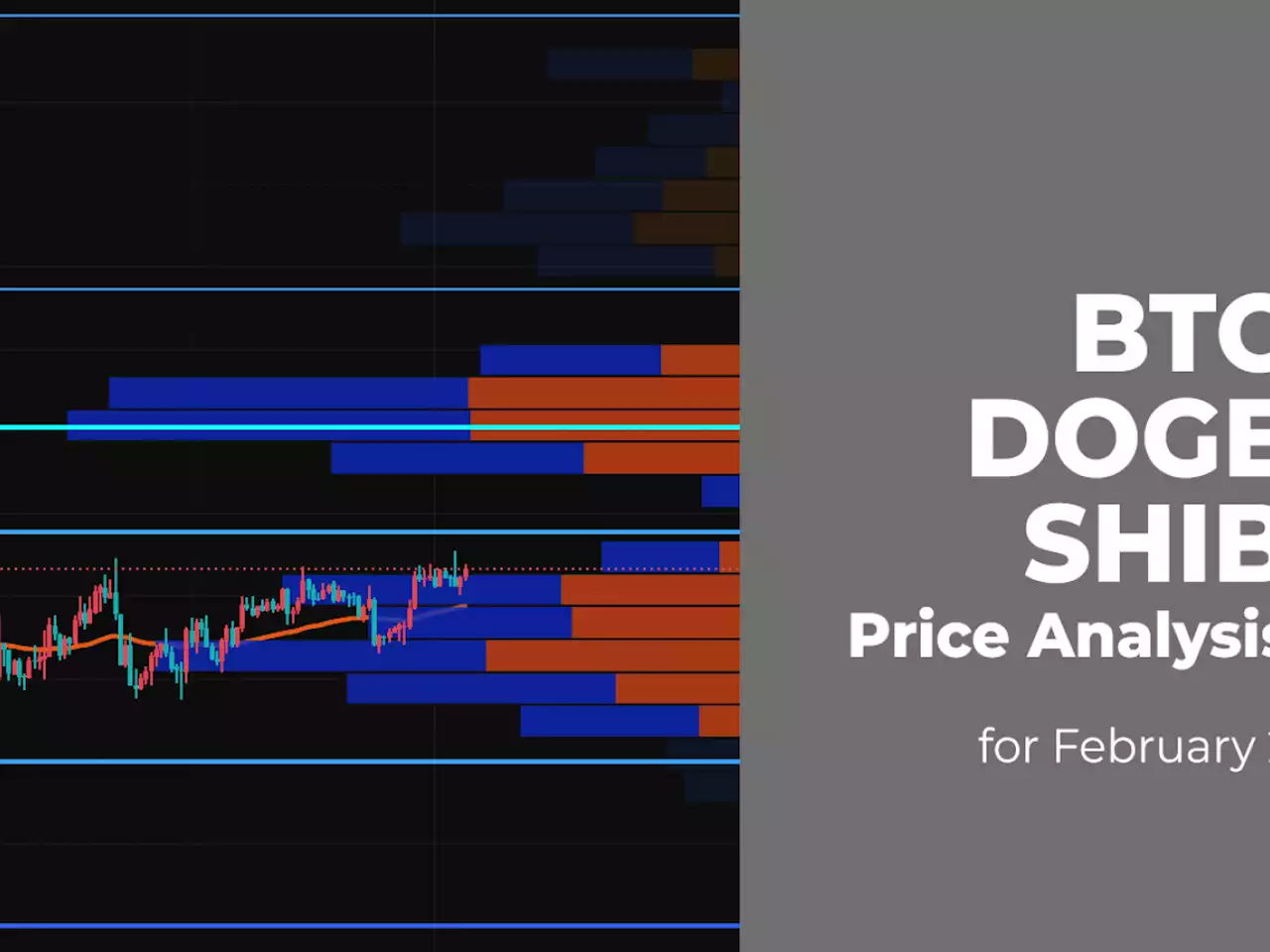 BTC, DOGE and SHIB Price Analysis for February 2