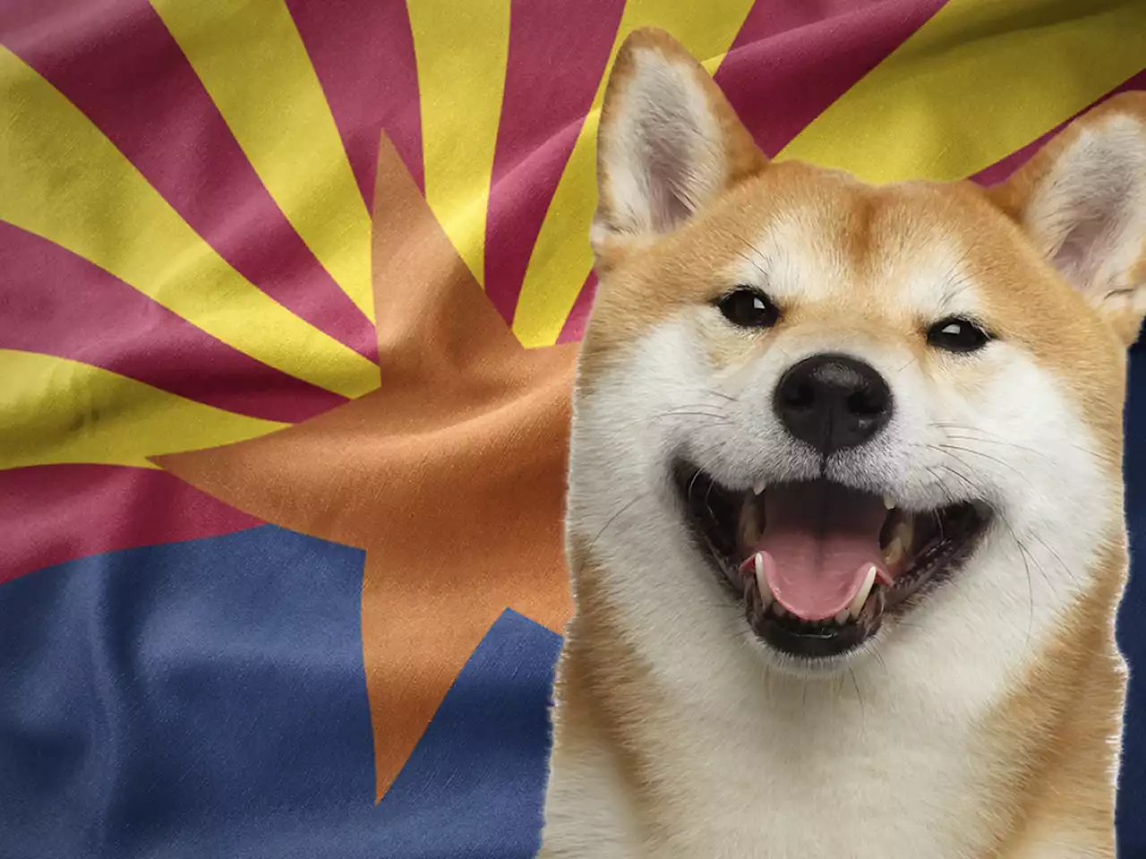 Shiba Inu Community Gets Praise from Republican State Senator