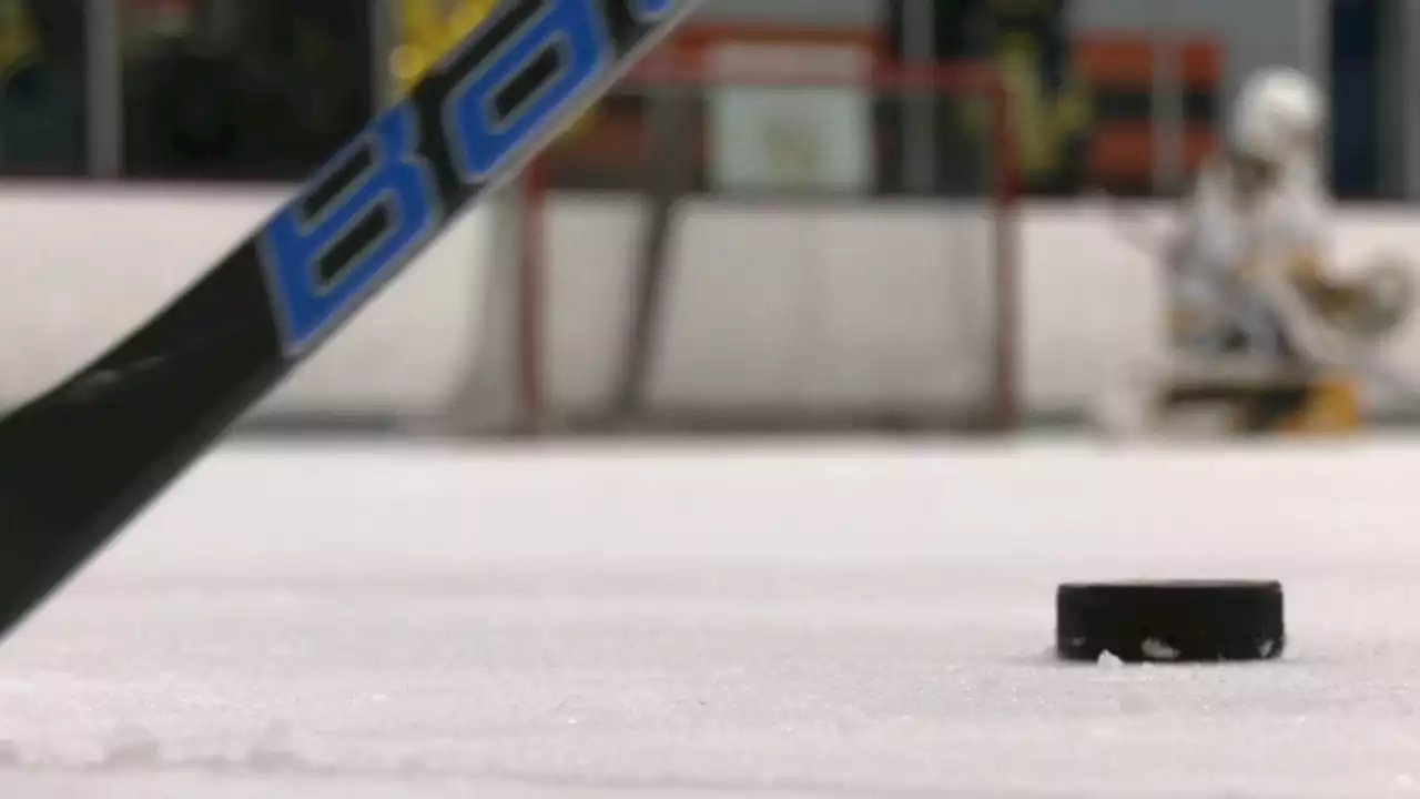 Neumann University Women's Hockey Team reaches out to next generation of players in Delaware County