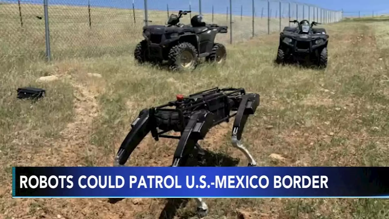 Robot dogs could soon patrol US-Mexico border