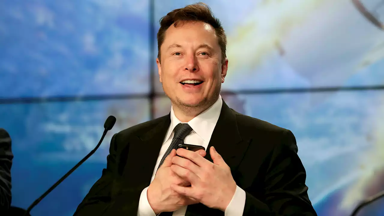 Elon Musk's company confirms monkeys died in brain chip testing project, denies animal cruelty