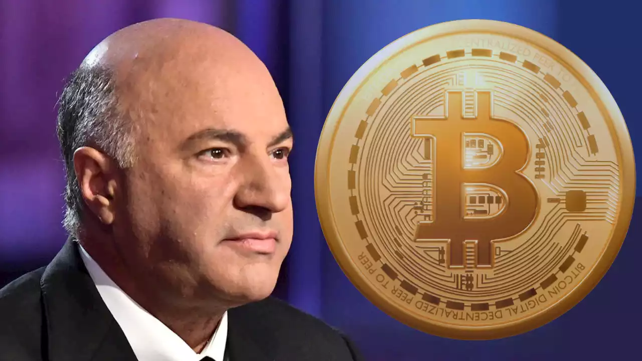 Shark Tank's Kevin O'Leary Expects Bitcoin to 'Appreciate Dramatically' in 2-3 Years – Markets and Prices Bitcoin News