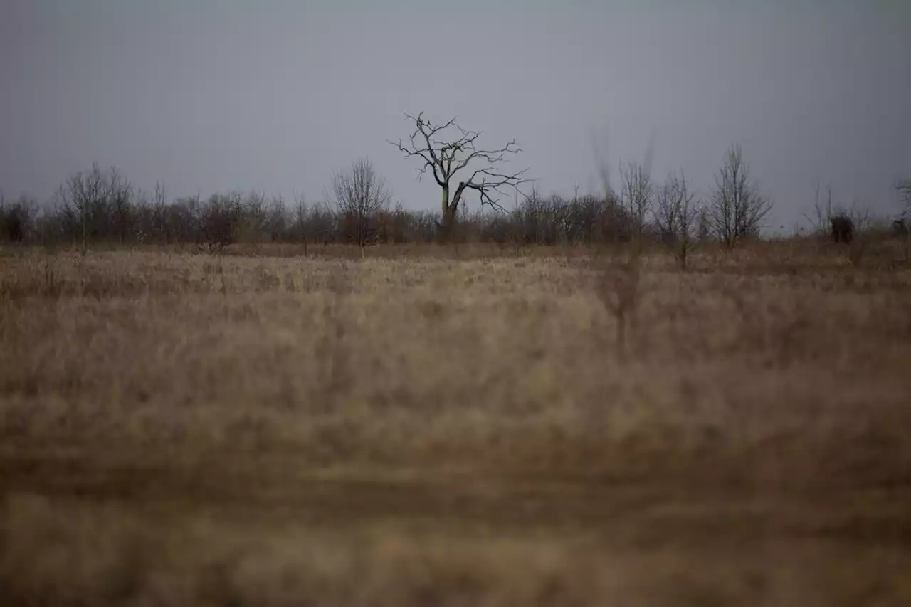 Activists preach vigilance when forest preserves sell public land