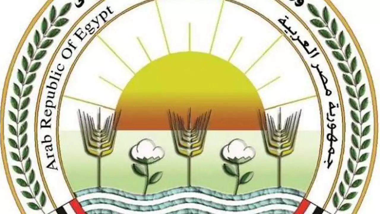 مدير تغير المناخ يكشف سبب الظواهر الغريبة: «كنا حار دافئ بقينا حار رطب»