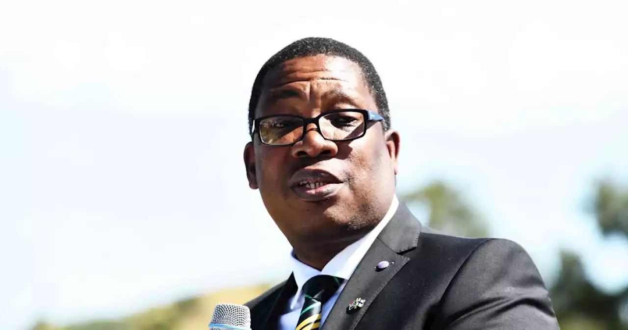 Lesufi to return to Hoërskool Jan Viljoen after alleged racist incident