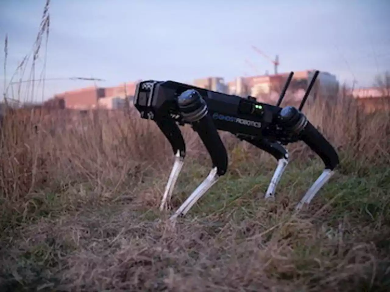 Meet The Startup Behind The Robot ‘Dogs’ Set To Patrol The Southern Border