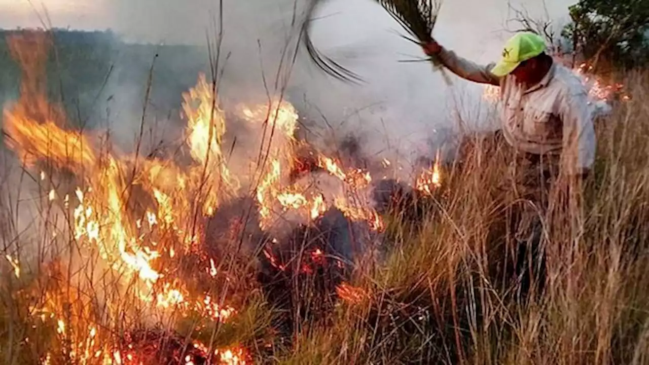 Incendios en Corrientes: el gobernador pidió ayuda a EEUU