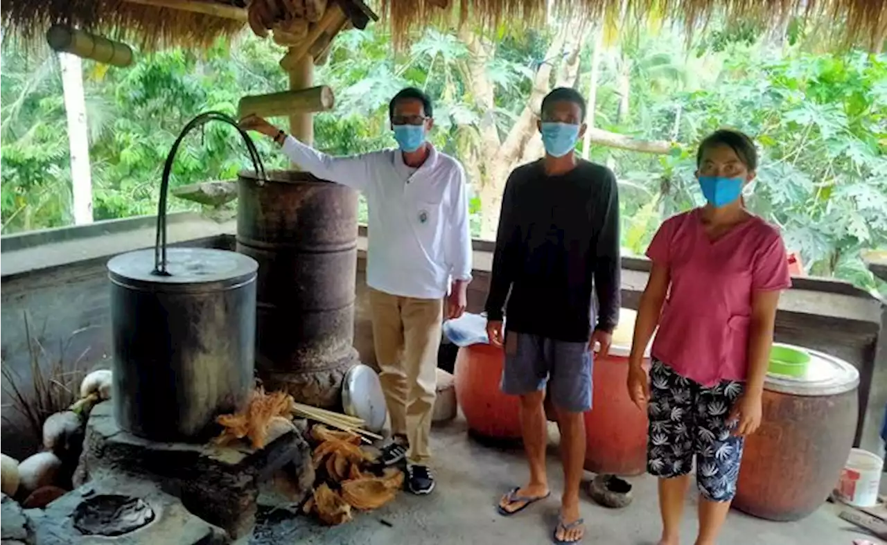 Petani Arak di Talibeng Kesulitan Pemasaran karena Tak Ada Internet