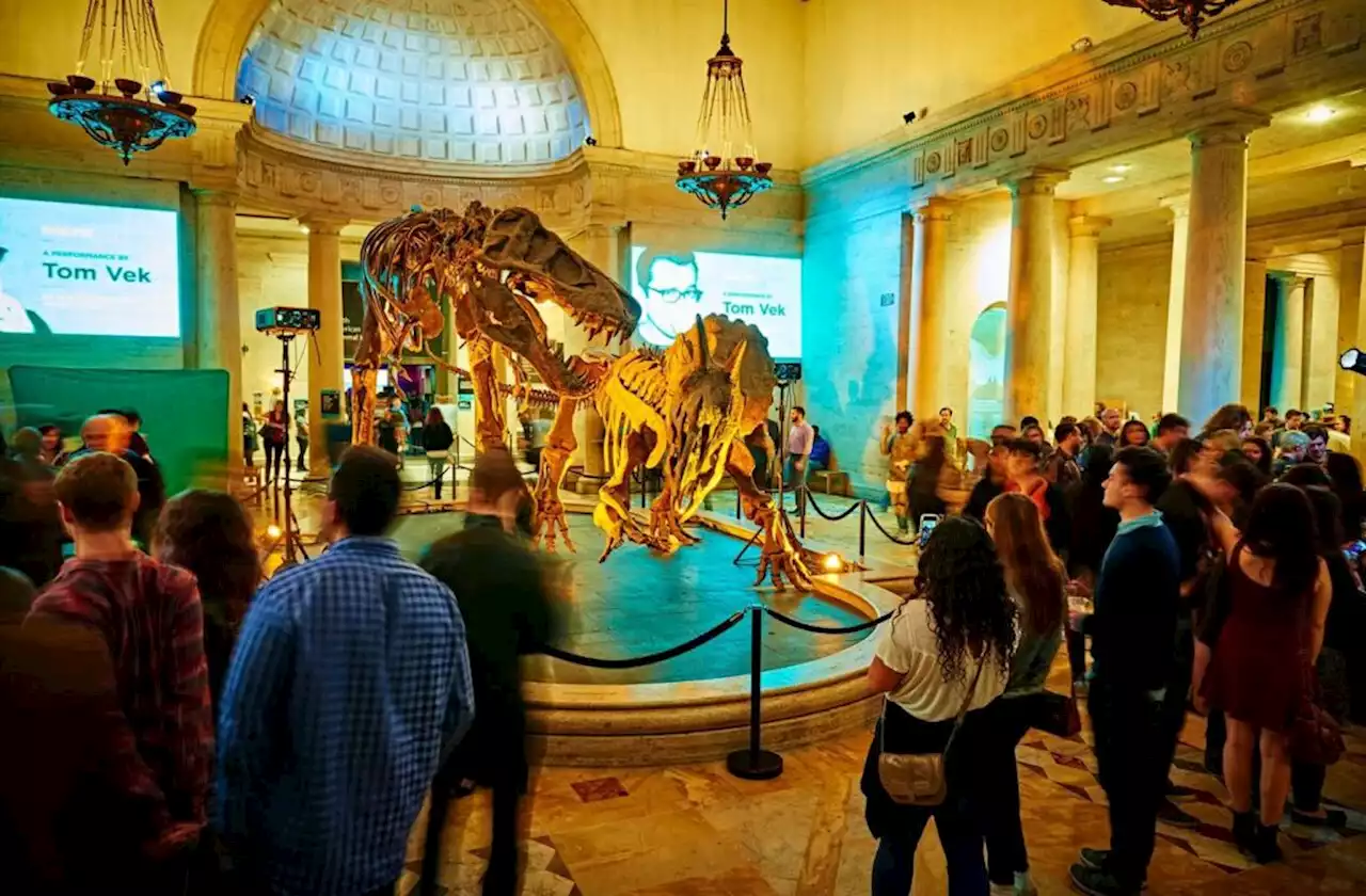 Natural History Museum’s First Fridays will return to in-person programming in March