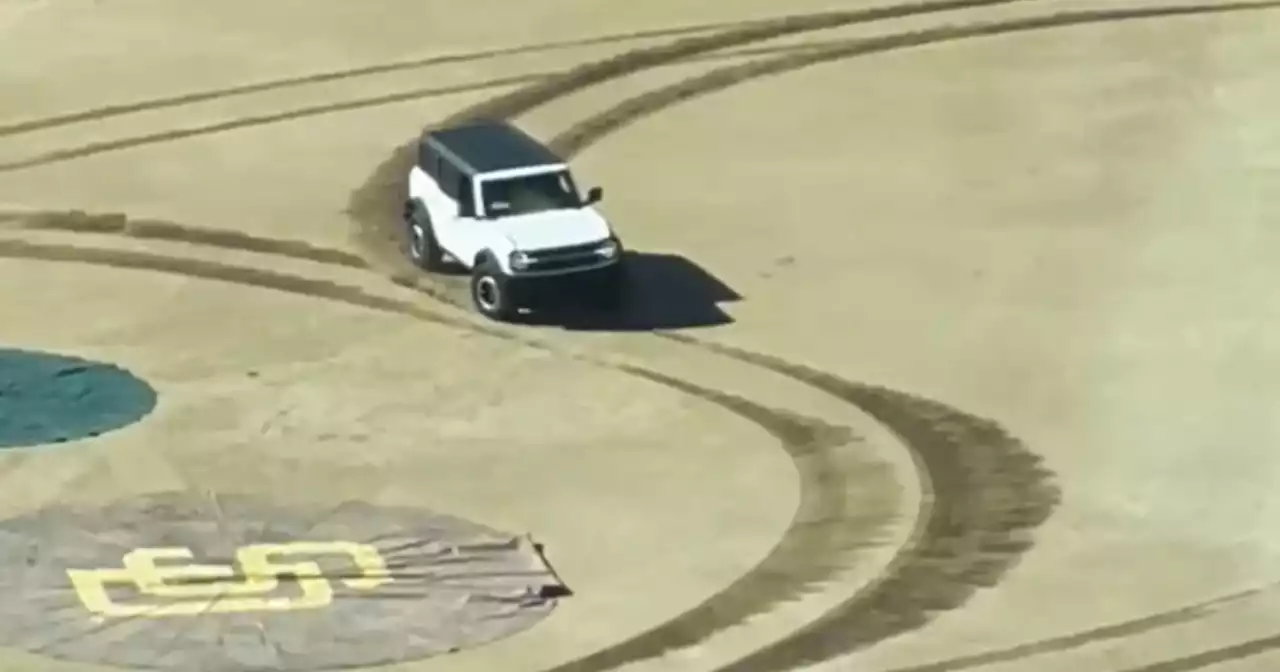 Joyrider runs roughshod at Petco Park until grounds crew intervenes