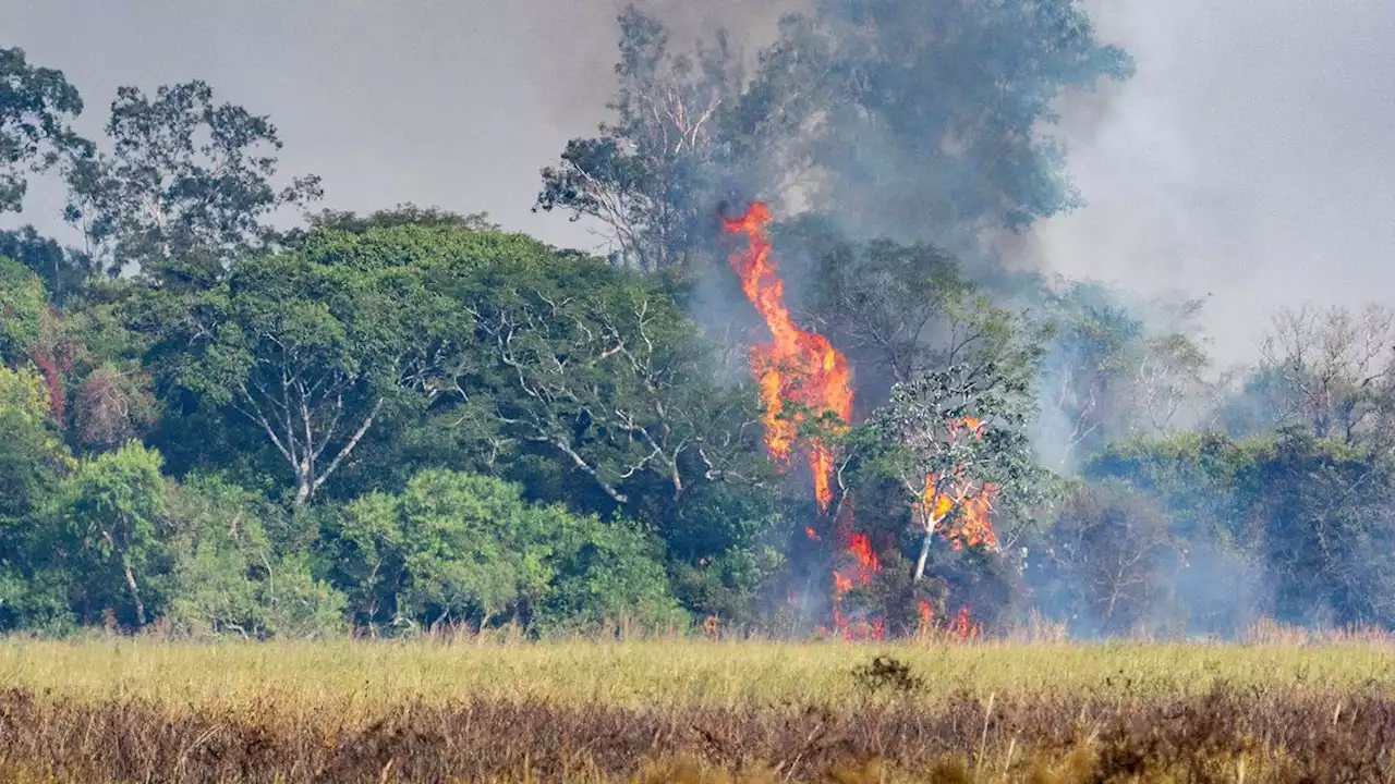 Incendios: el gobernador de Corrientes dijo que habló con el Presidente, quien 'se puso a disposición'