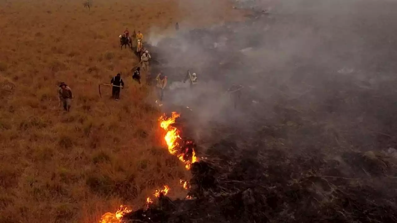 Incendios en Corrientes: suspendieron los desfiles de carnaval en Santo Tomé por la emergencia ígnea