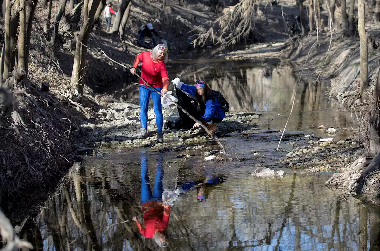 Basura Bash: Time to grow San Antonio's annual litter cleanup