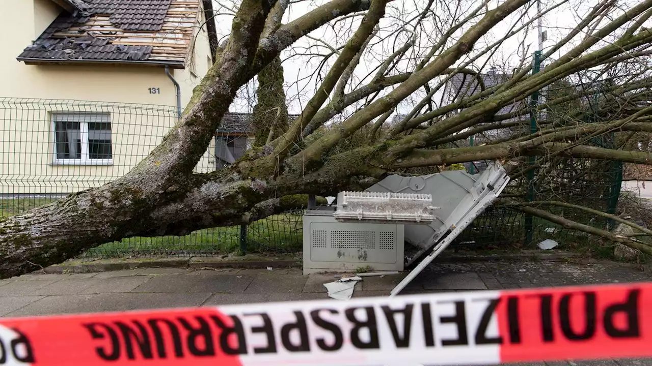 Sturm 'Antonia' könnte weitere Bäume umreißen – Karte zeigt den Weg des Unwetters