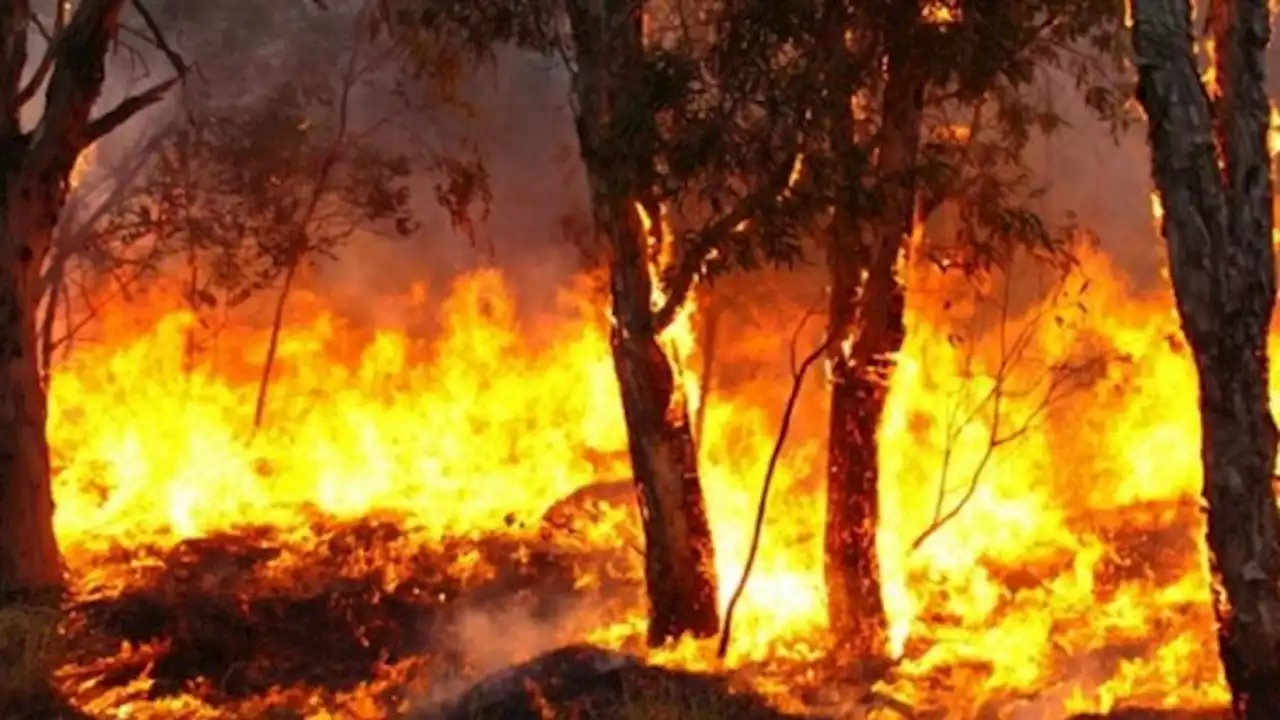 Corrientes: Valdés pidió ayuda a Estados Unidos para combatir el fuego