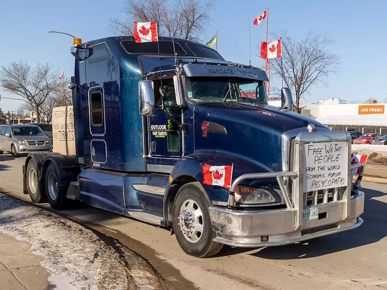 Cuthand: Canada's flag appropriated as a symbol of right-wing rage