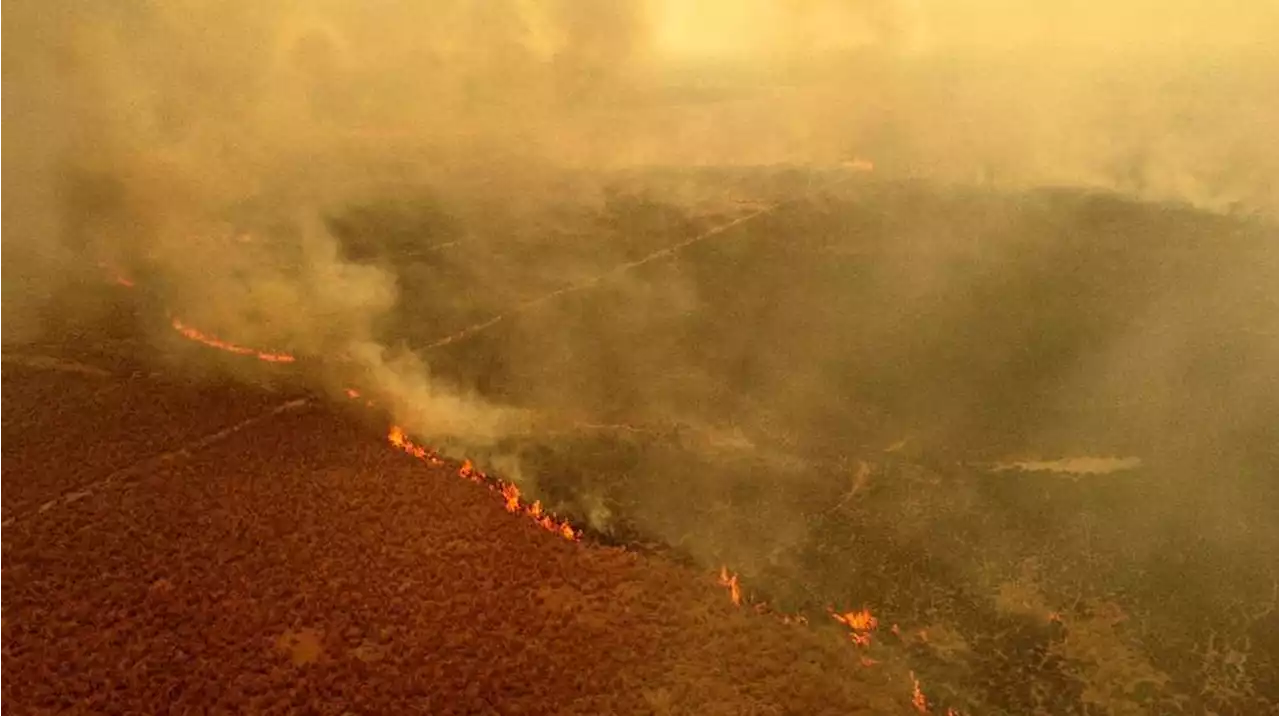 Incendios en Corrientes: el gobernador Gustavo Valdés le pidió ayuda a Estados Unidos