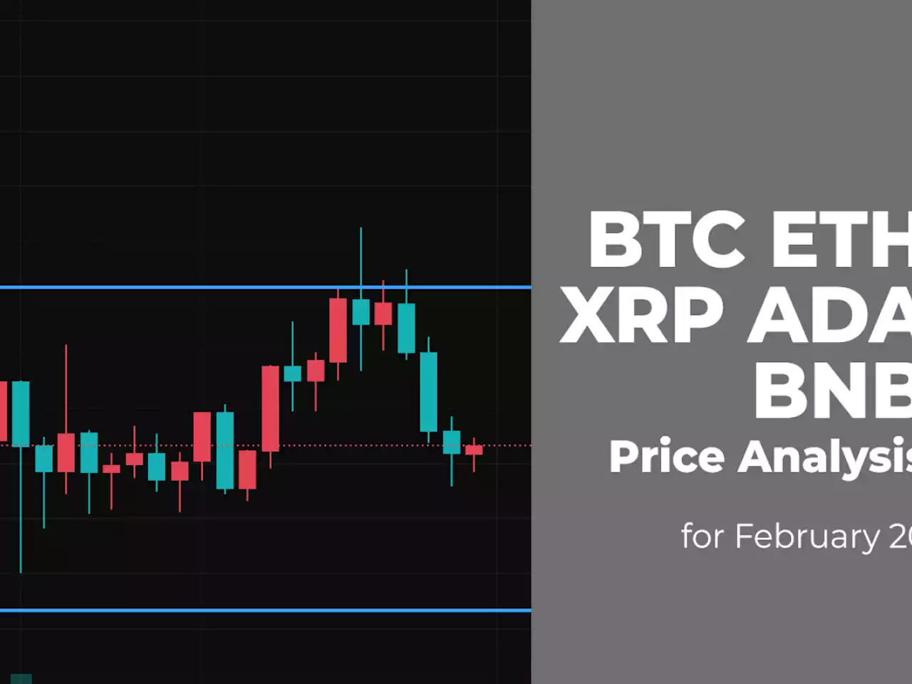 BTC, ETH, XRP, ADA and BNB Price Analysis for February 20