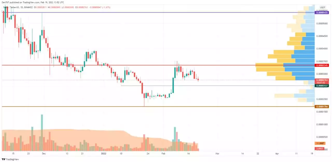 DOGE and SHIB Price Analysis for February 19