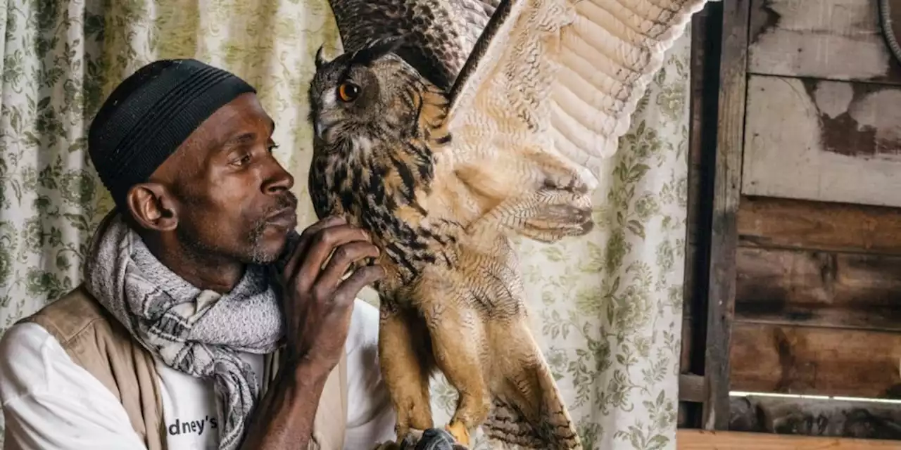 Rodney Stotts Used to Hustle Drugs in Southeast DC. Now He’s One of the Few Black Master Falconers in America.