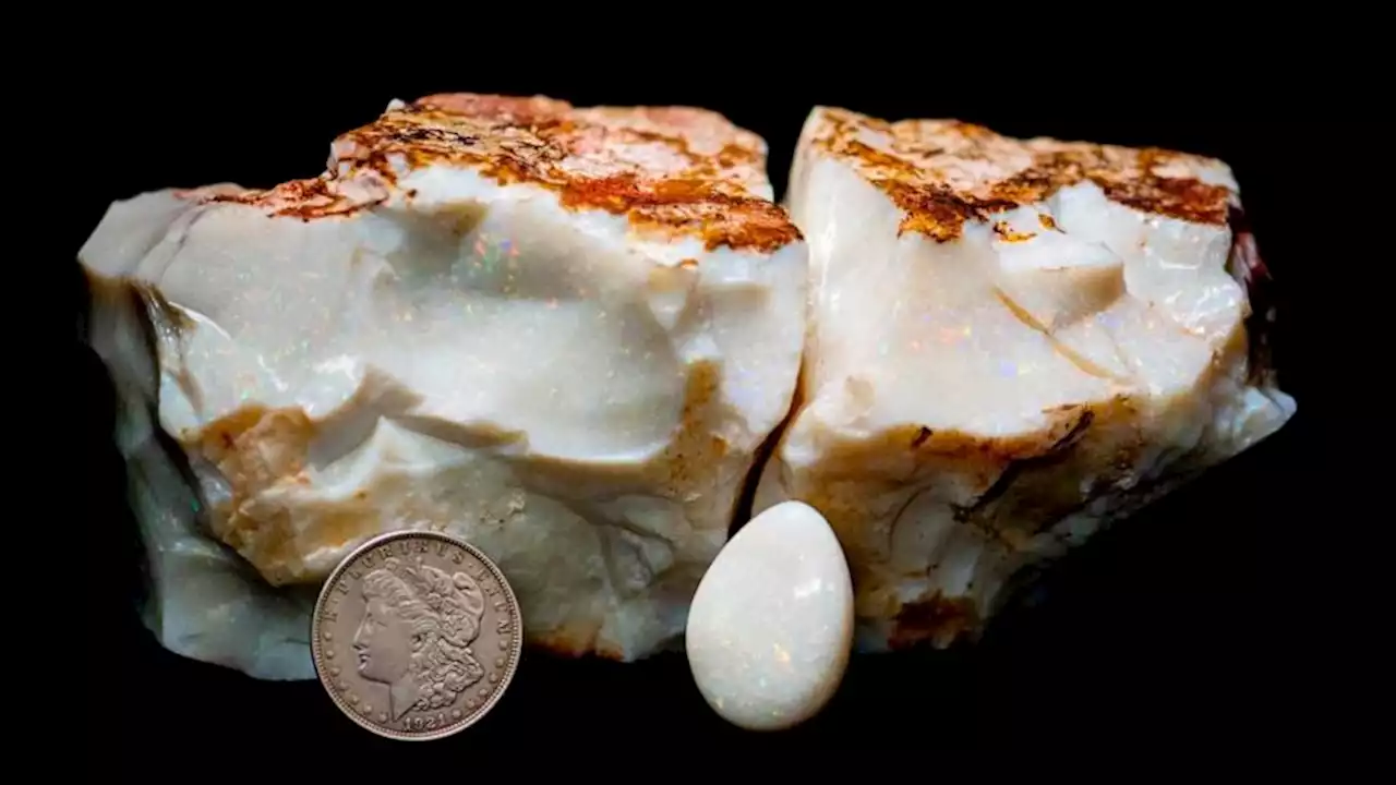 Huge opal sells for nearly $144,000 at Alaska auction