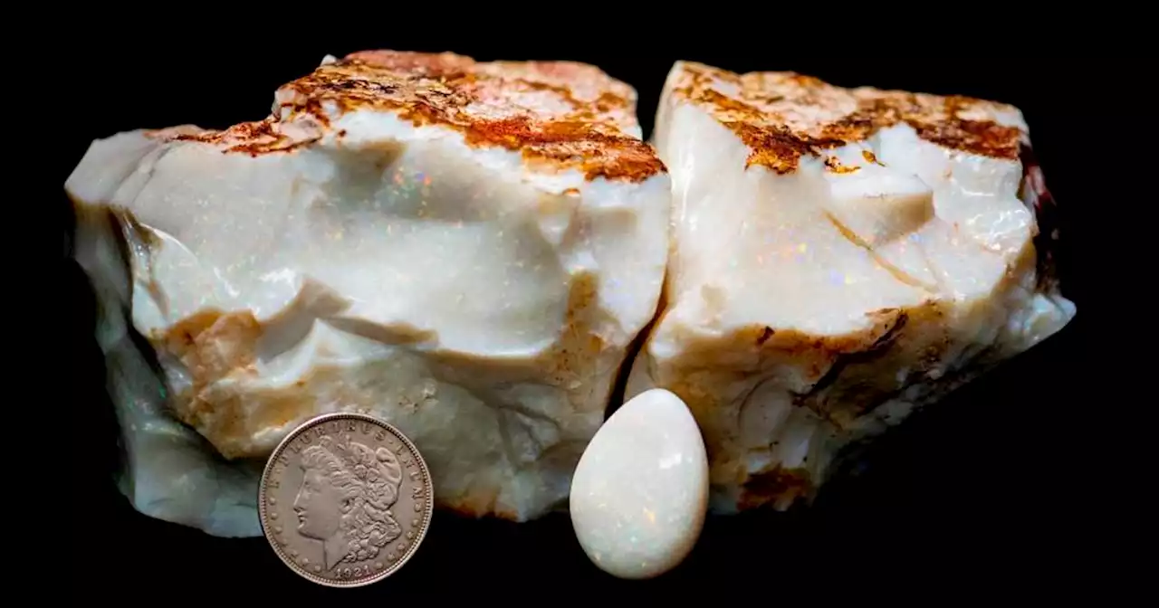 Huge opal sells for nearly $144,000 at Alaska auction