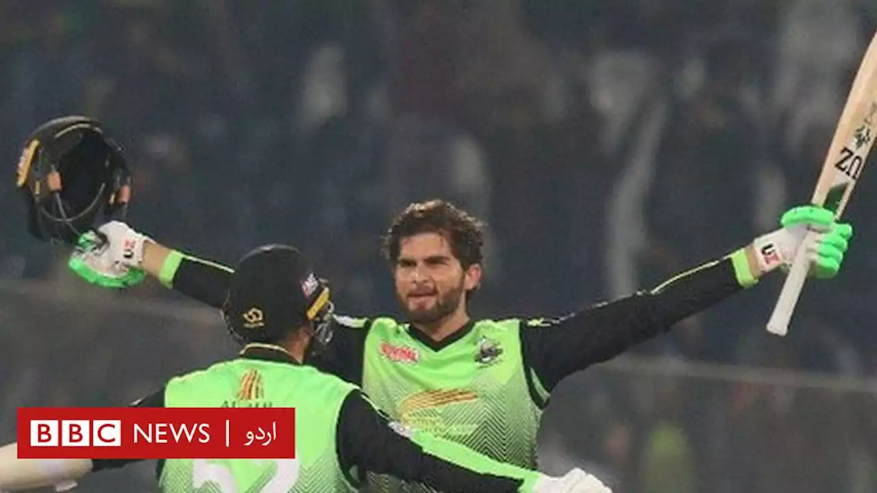 زلمی فاتح مگر شاہین کے چھکوں کی بازگشت: 'کیا ہمیں نیا بوم بوم آفریدی مل گیا؟' - BBC News اردو